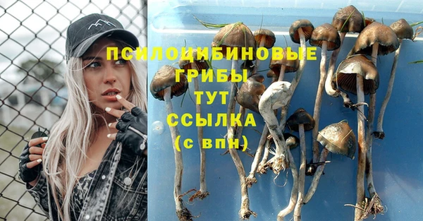 кокс Алзамай