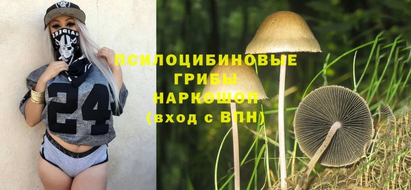 дживик Алексеевка