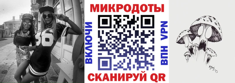 Галлюциногенные грибы мухоморы  дарнет шоп  Карасук 